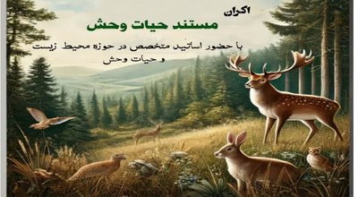 حیات وحش دوم