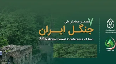 جنگل ایرانن