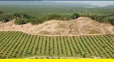 کشاورزی